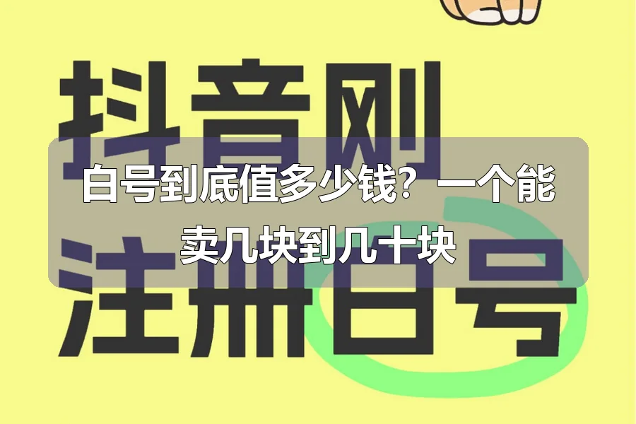 白号到底值多少钱?一个能卖几块到几十块